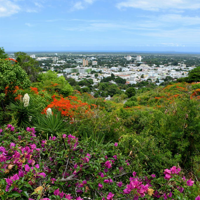 Ponce