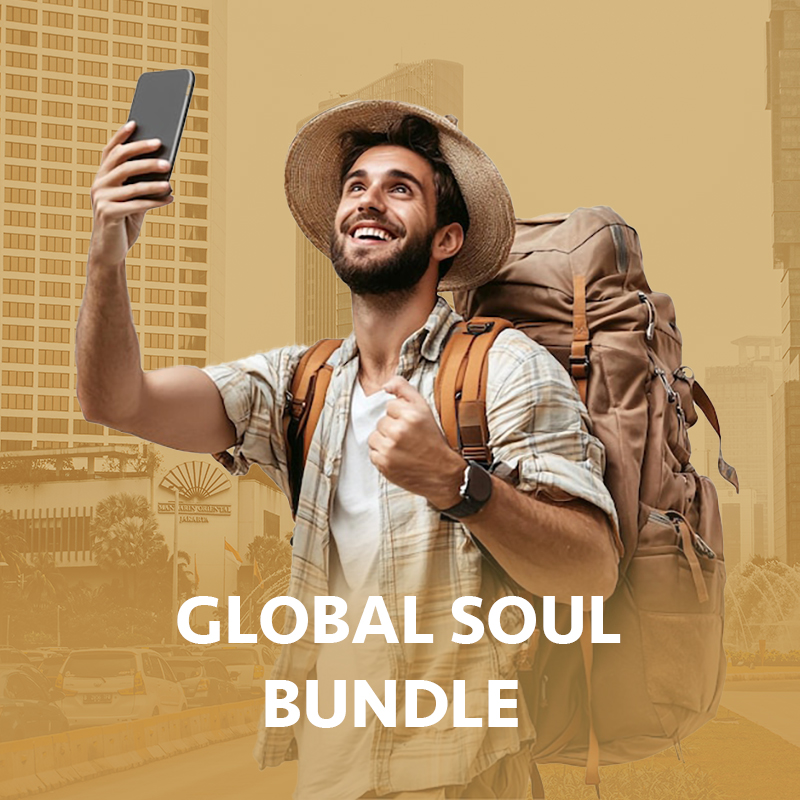 Global Soul Bundle (15 Guides in 1)